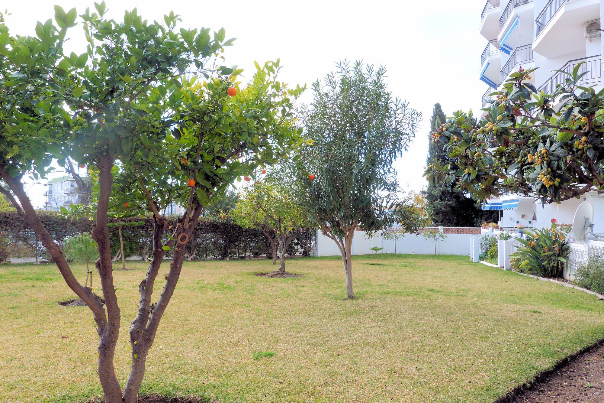 Almijara Apartment